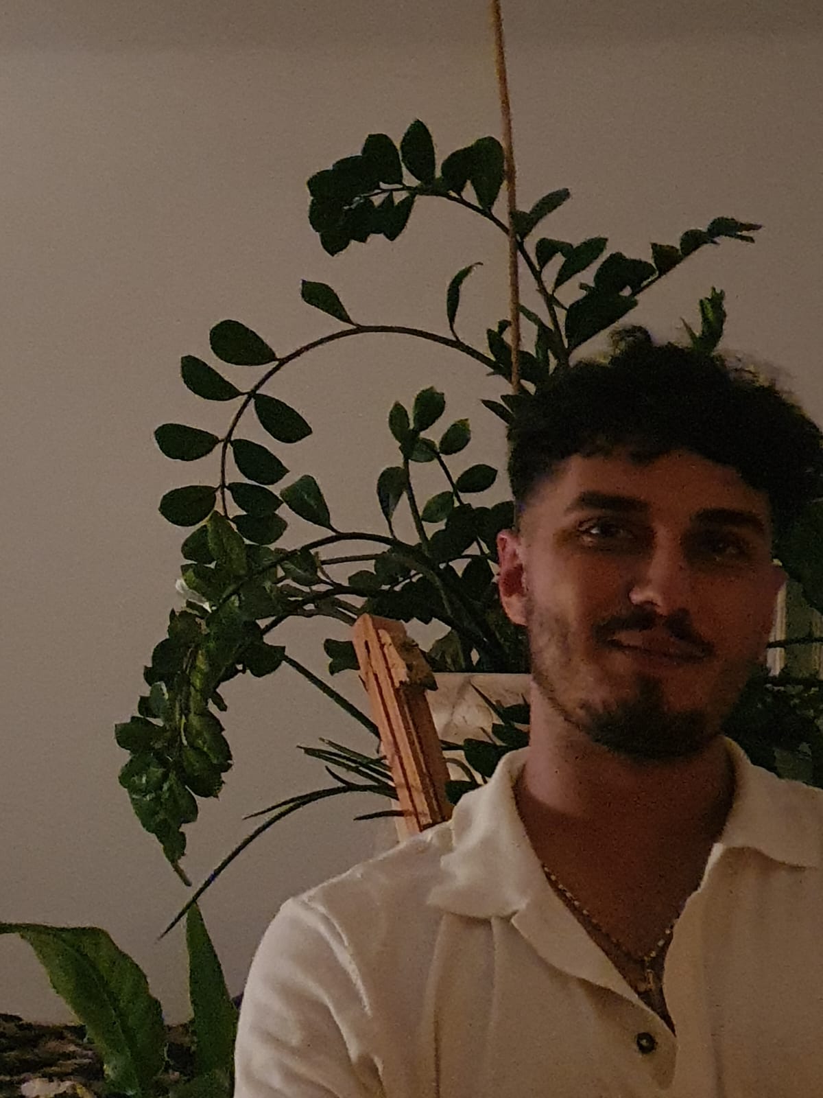 Ing. Tamas Illes, BSc. — dev